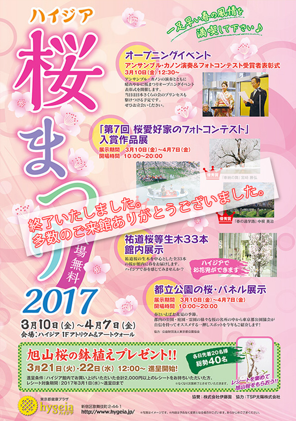 2017 ハイジア 桜まつり